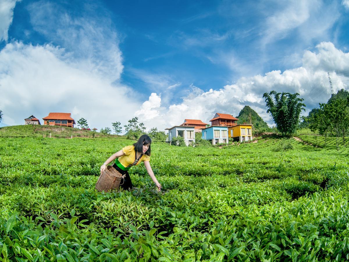 Moc Chau Arena Village Bản Chiềng Di Exteriör bild