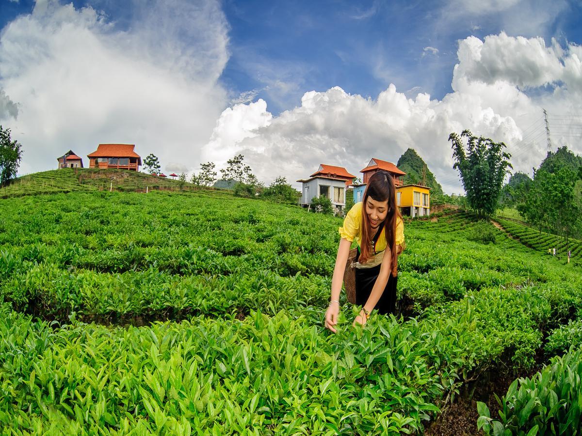 Moc Chau Arena Village Bản Chiềng Di Exteriör bild